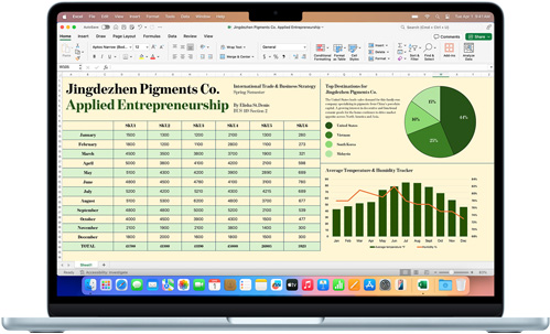 MacBook Air 屏幕上显示 Microsoft Excel app