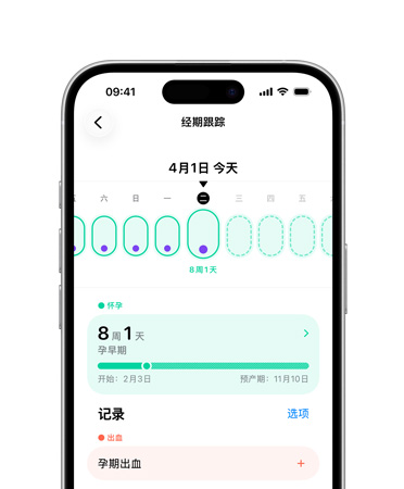 iPhone 上健康 app 中的经期跟踪设置为跟踪怀孕的各个阶段