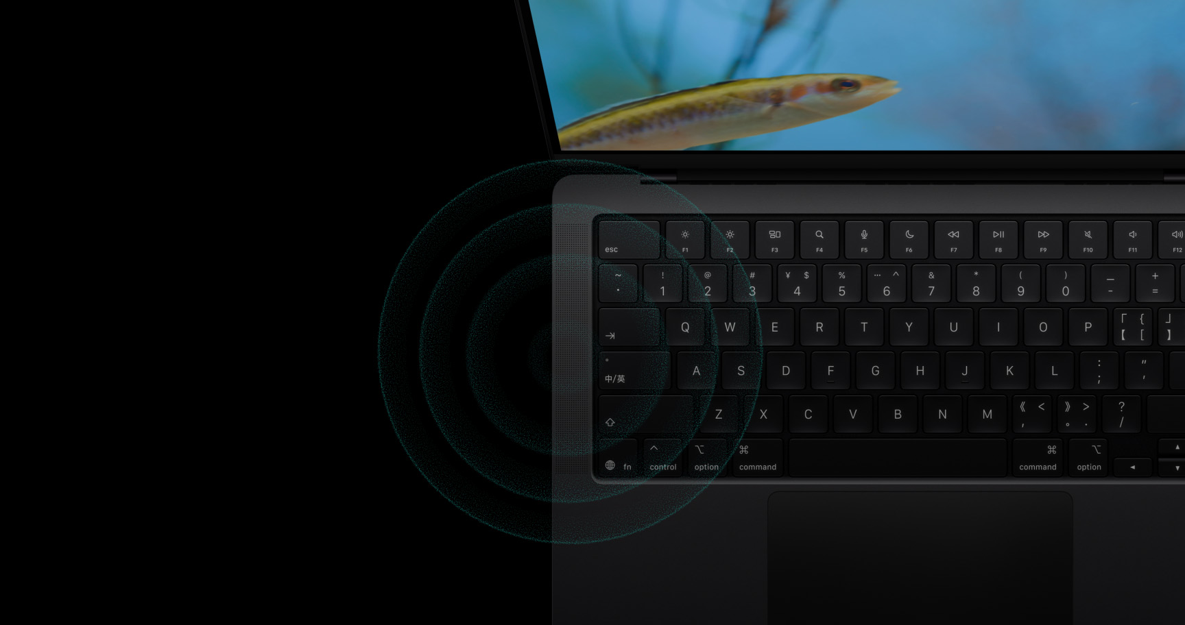 MacBook Pro，扬声器位置发出环形声波，借此体现出色的音响效果。