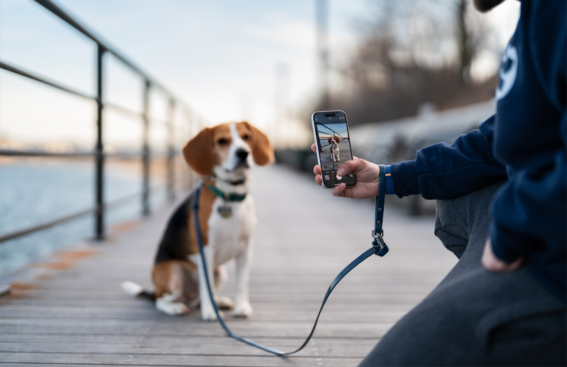 有 iPhone 出色的相机画质加持，宠物主收到的爱宠报告卡再添精美。