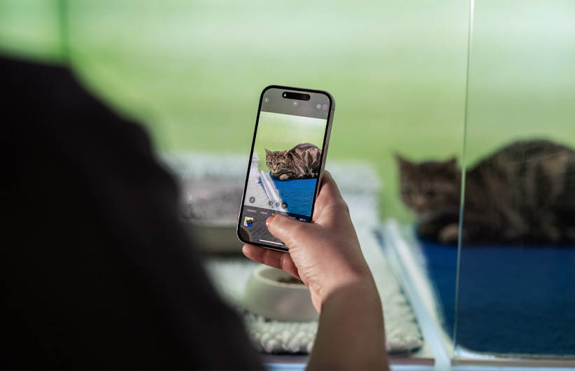 护理师使用 iPhone 定期发送宠物照片更新，让宠物主人更感安心。